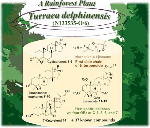 Isolation, Characterization, and Antiproliferative Activity of Terpenoids from the Tropical Plant Turraea delphinensis