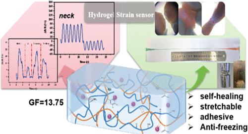 Highly Adhesive, Ultrafast Self-Healing, and Conductive Dopamine-Based Polymer Hydrogels for Sensitive Human Motion Sensing