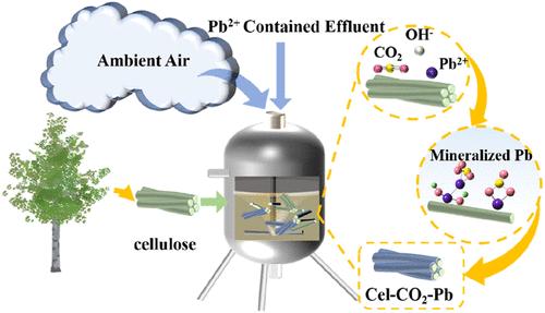 Direct-Air-Capture Technique of Cellulose for Mineralizing Pb2+ from Wastewater: Synchronous Accomplishment of CO2 Capture and Water Treatment