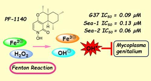Iron(III) Binding Properties of PF1140, a Fungal N-Hydroxypyridone, and Activity against Mycoplasma genitalium