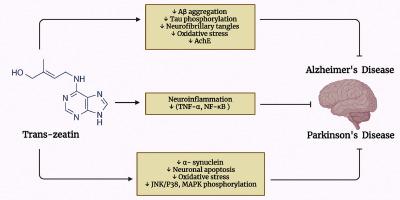 Trans-zeatin and its derivatives: Cytokinins present in various TCM preparations as promising candidate moclecules for the management of Alzheimer's and Parkinson's disease