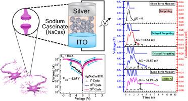 Conductivity modulation in sodium caseinate biopolymer based resistive switching write-once-read-many times (WORM) memory device