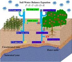 Partitioning soil water balance under deep-rooted fruit trees in the thick loess deposits