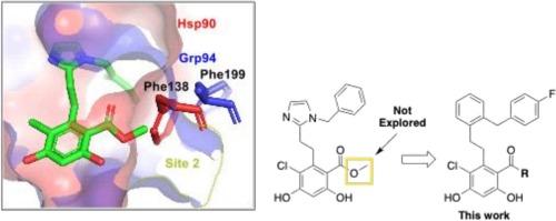 Investigation of the site 2 pocket of Grp94 with KUNG65 benzamide derivatives