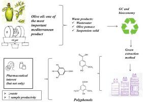 Green extraction, chemical profile and biological activity of waste products from the olive oil industry: From waste to wealth