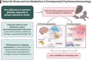 Early life stress and iron metabolism in developmental psychoneuroimmunology