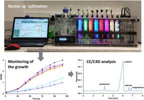 Determination of nutrient concentration in liquid culture of cyanobacteria Nostoc sp. by capillary electrophoresis and inductively coupled plasma mass spectrometry