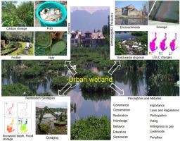 Evaluation of ecosystem services vis-à-vis perceptions and attitudes of local communities towards Wetland conservation in Kashmir Himalaya