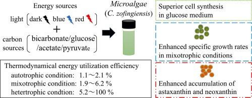 Influence of different light wavelengths and carbon sources on energy utilization efficiency by Chromochloris zofingiensis for cell growth and carotenoid synthesis