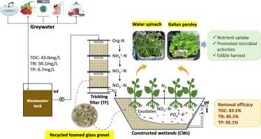 Greywater treatment using lab-scale systems combining trickling filters and constructed wetlands with recycled foam glass and water spinach