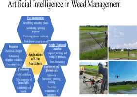 Chemical weed control in direct-seeded rice using drone and mist flow spray technology