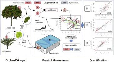 Spectral data augmentation for leaf nutrient uptake quantification