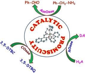 Impressive promiscuous biomimetic models of ascorbate, amine, and catechol oxidases