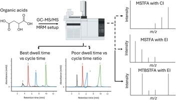 Targeted analysis of organic acids with GC-MS/MS: Challenges and prospects