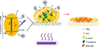 Can photocatalysis inhibit interspecies bacterial cooperation to quench the formation of robust complex bacterial biofilms in water environments?