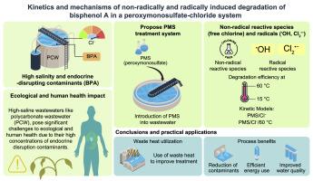 Kinetics and mechanisms of non-radically and radically induced degradation of bisphenol A in a peroxymonosulfate-chloride system