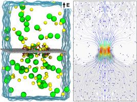 Web-based applications for automated generation of functionalized graphene and carbon nanotube for molecular dynamics simulations and automated three-dimensional analysis of ion flow through nanopores