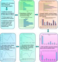 Unveiling the spectrum of antibiotic resistance and virulence genes in Escherichia coli: A comparative study of clinical and environmental isolates