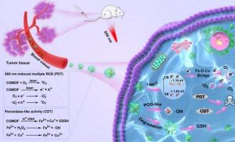 Nano-photosensitizers with gallic acid-involved Fe–O–Cu “electronic storage station” bridging ligand-to-metal charge transfer for efficient catalytic theranostics