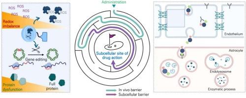 Precise subcellular targeting approaches for organelle-related disorders