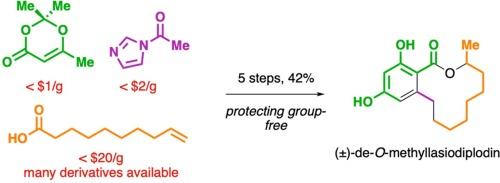 Efficient synthesis of (±)-de-O-methyllasiodiplodin