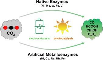 Enzymatic CO2 reduction catalyzed by natural and artificial Metalloenzymes