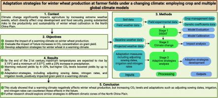 Adaptation strategies for winter wheat production at farmer fields under a changing climate: Employing crop and multiple global climate models