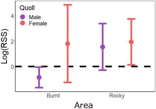 Movement patterns of two northern quolls after a large wildfire