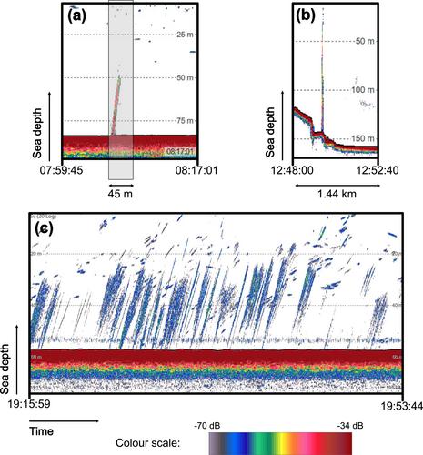 Methane Emissions From Seabed to Atmosphere in Polar Oceans Revealed by Direct Methane Flux Measurements