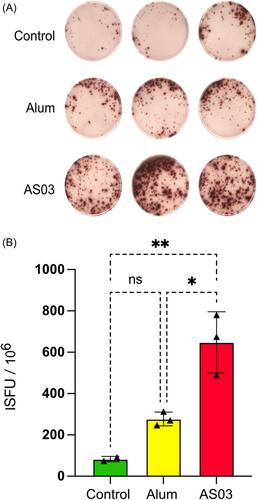 Development and characterization of a multimeric recombinant protein using the spike protein receptor binding domain as an antigen to induce SARS-CoV-2 neutralization