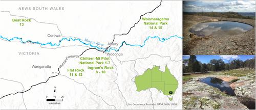 Use of eDNA and conventional sampling methods to survey rock pool (gnamma) biodiversity on granite inselbergs