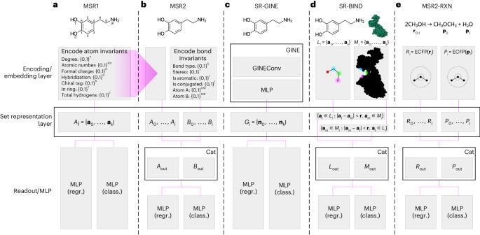 Molecular set representation learning