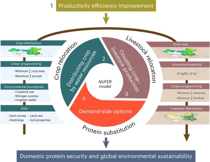 Holistic food system innovation strategies can close up to 80% of China’s domestic protein gaps while reducing global environmental impacts