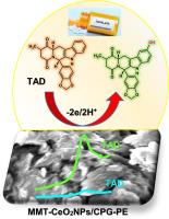 Ultrasensitive tadalafil detection with eco-friendly CeO2/Al-pillared clay incorporated pencil graphite paste electrode