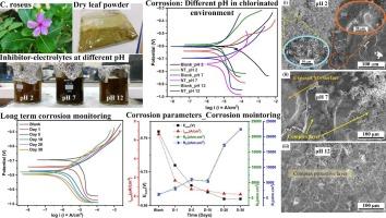 Excellent corrosion inhibition efficiency of Catharanthus roseus (Nayantara or Sadabahar) leaf aqueous extract on mild steel in chloride-contaminated solutions at different pH