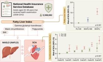 Association of fatty liver index with sudden cardiac arrest in young adults