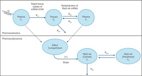 Translational pharmacokinetic/pharmacodynamic model for mRNA-0184, an investigational therapeutic for the treatment of heart failure