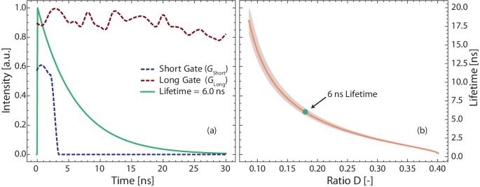 Holistic analysis of a gliding arc discharge using 3D tomography and single-shot fluorescence lifetime imaging