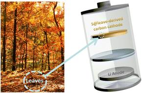 Decaying leaves turn into energy: empowering high-energy-density lithium–sulfur batteries†