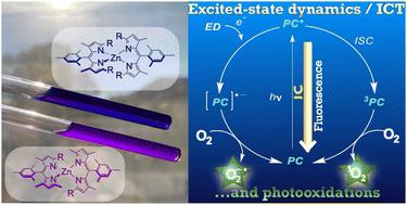 Excited state dynamics of homoleptic Zn(ii)dipyrrin complexes and their application in photocatalysis†