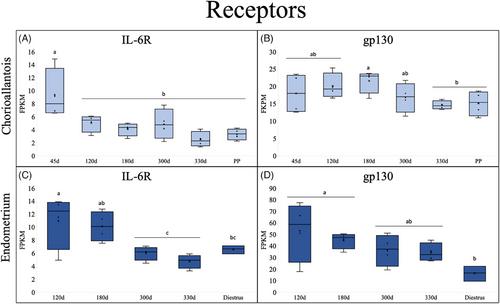 Evaluating the IL-6 Family of Cytokines Throughout Equine Gestation