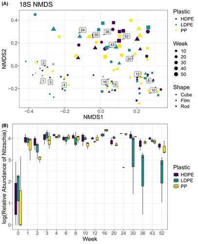 Changes in microbial community structure of bio-fouled polyolefins over a year-long seawater incubation in Hawai'i