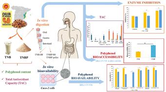 Potential bioaccessibility and bioavailability of polyphenols and functional properties of tiger nut beverage and its by-product during in vitro digestion†