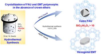 Seed-assisted crystallization of high-silica cubic and hexagonal faujasite polymorphs in the presence of the tetraethylammonium (TEA+) cation†
