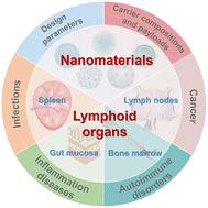 Lymphoid organ-targeted nanomaterials for immunomodulation of cancer, inflammation, and beyond