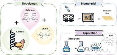 Ionic-liquid-processed keratin-based biocomposite films with cellulose and chitin for sustainable dye removal†