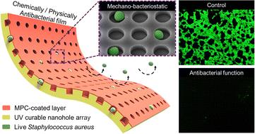 Flexible and transparent nanohole-patterned films with antibacterial properties against Staphylococcus aureus†