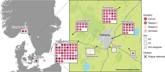 Repeated plague infections across six generations of Neolithic Farmers