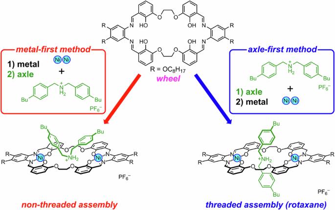 Non-threaded and rotaxane-type threaded wheel–axle assemblies consisting of dinickel(II) metallomacrocycle and dibenzylammonium axle