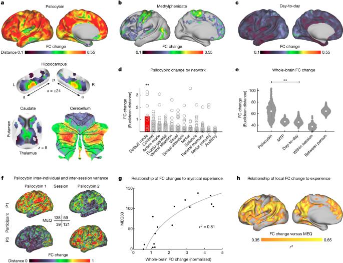 Psilocybin desynchronizes the human brain